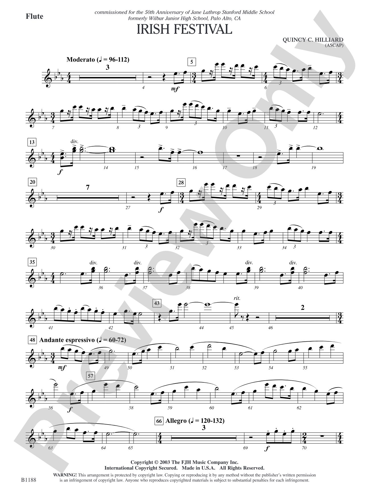 Irish Festival: Flute