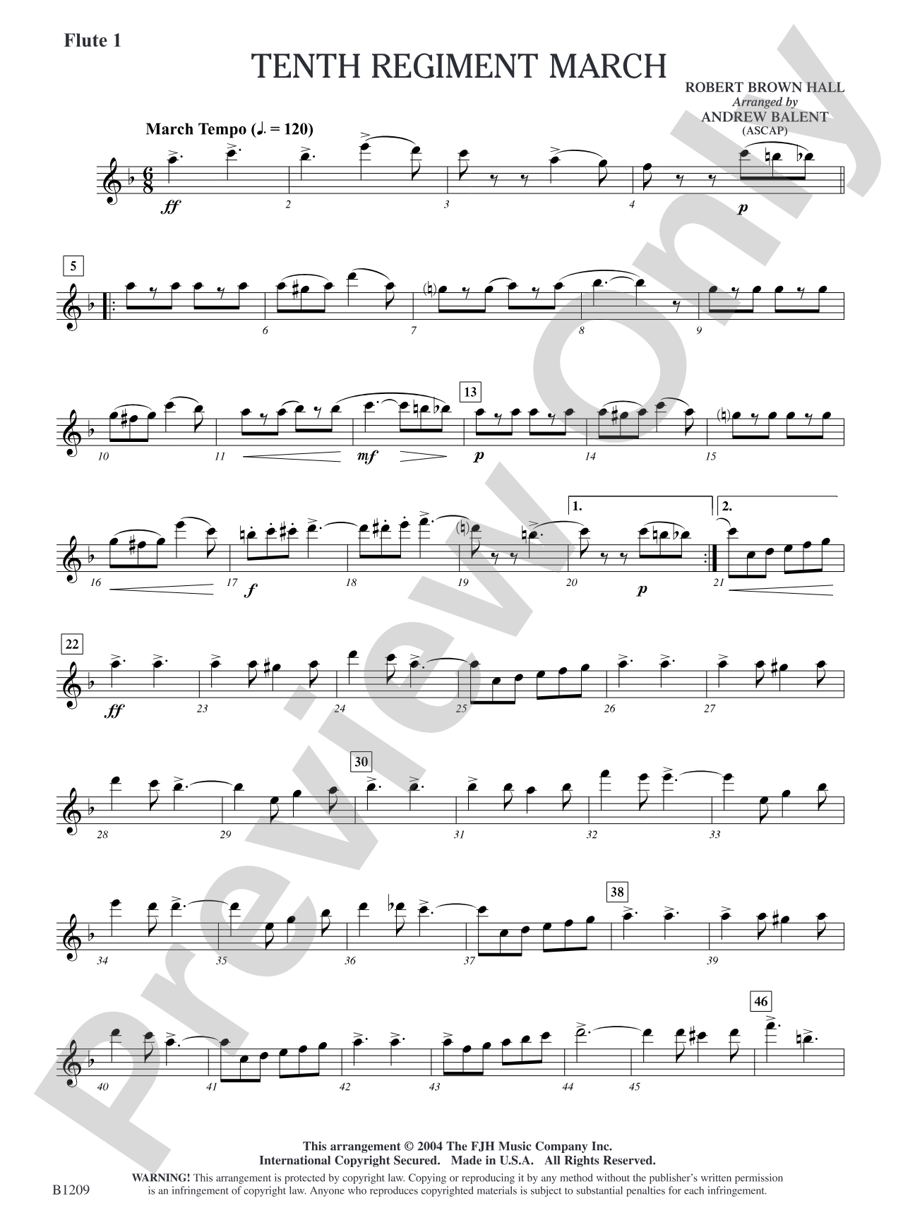 Tenth Regiment March: Flute 1