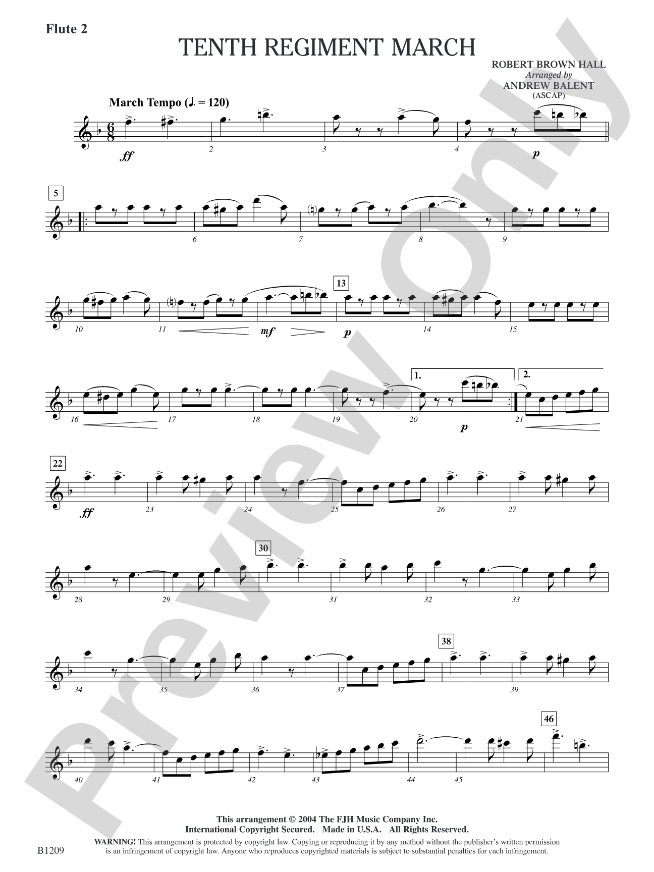 Tenth Regiment March: Flute 2