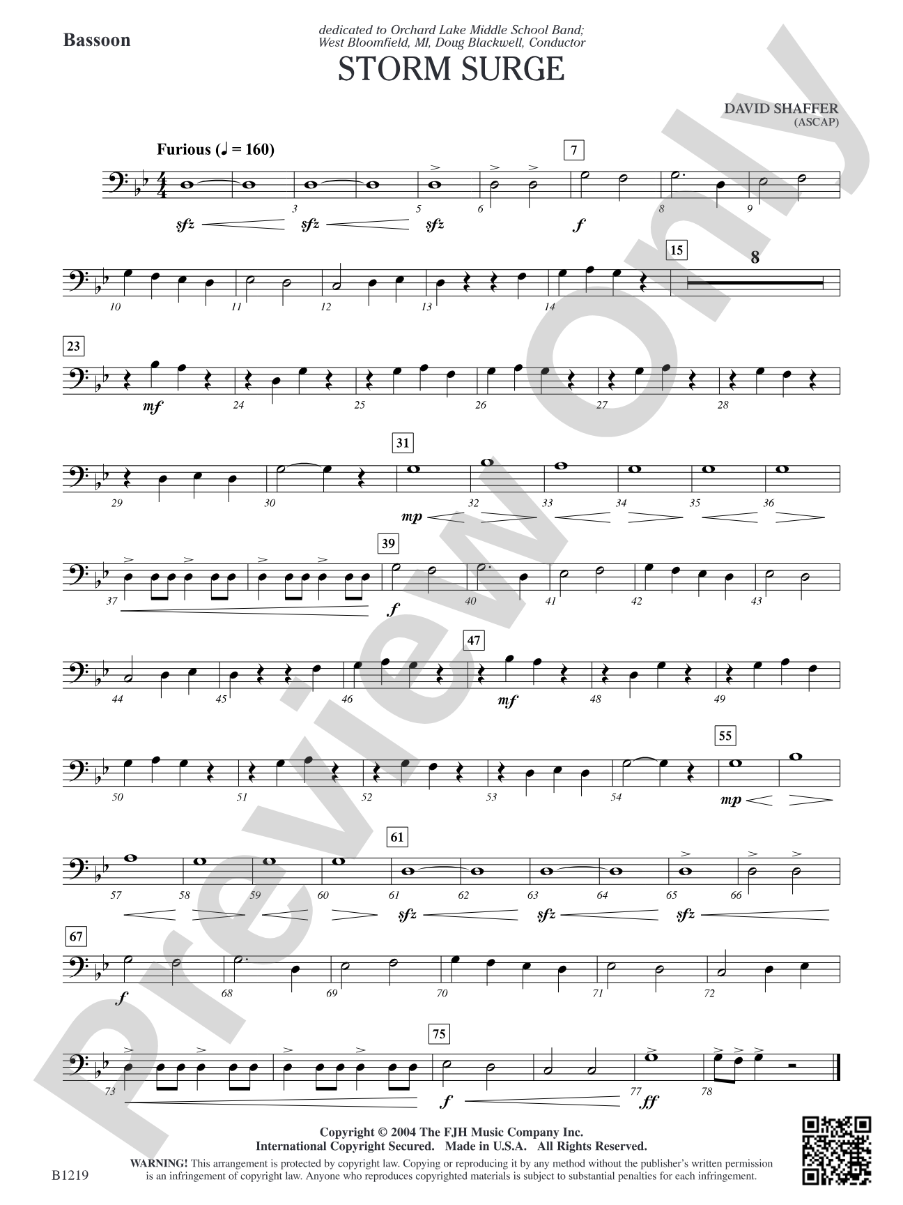 Storm Surge: Bassoon