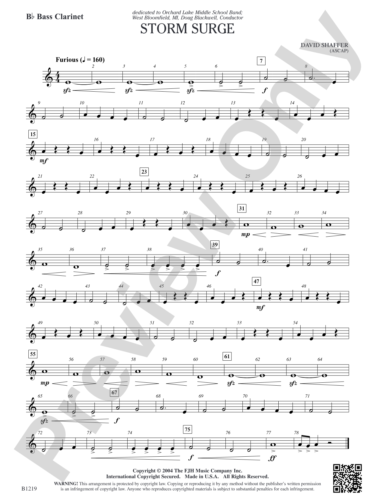 Storm Surge: B-flat Bass Clarinet