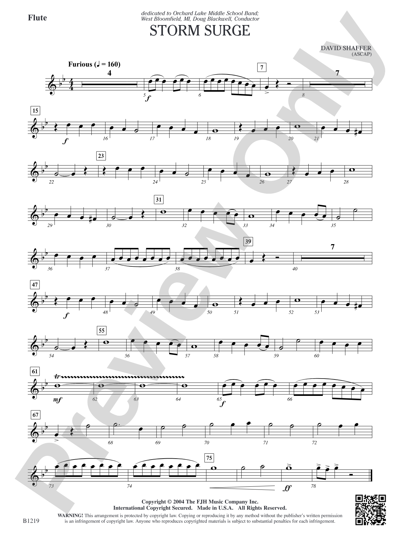 Storm Surge: Flute