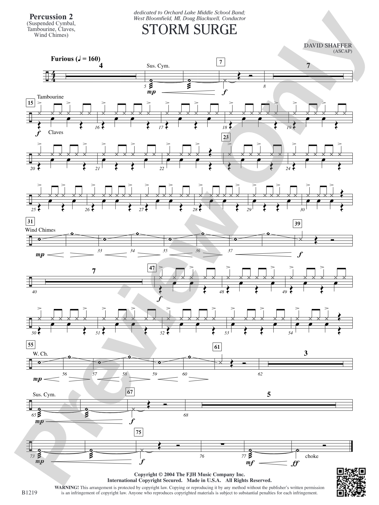 Storm Surge: Percussion 2