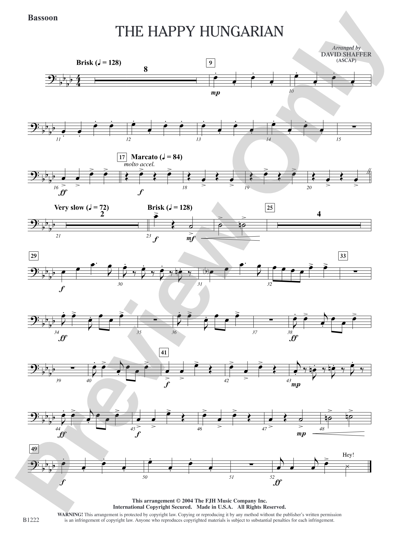 The Happy Hungarian: Bassoon