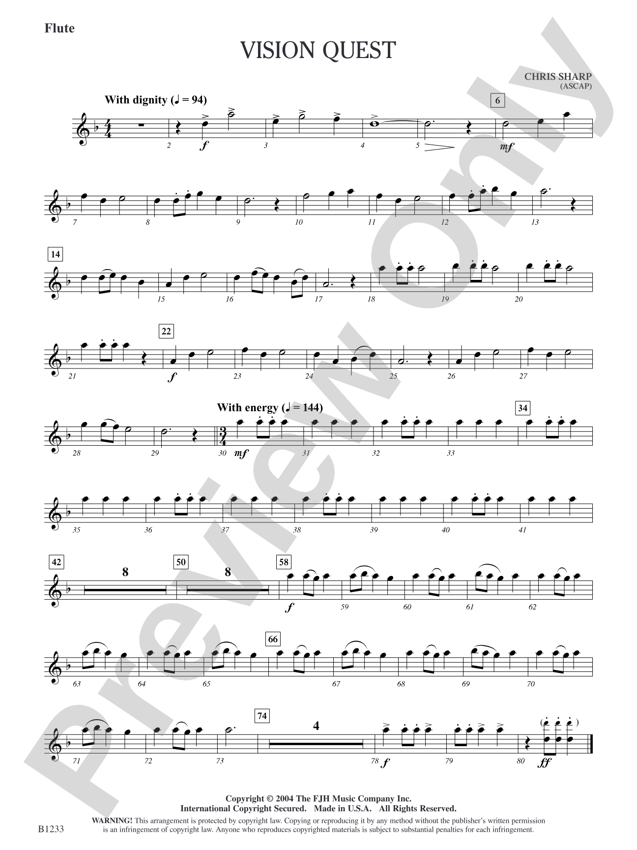 Vision Quest: Flute