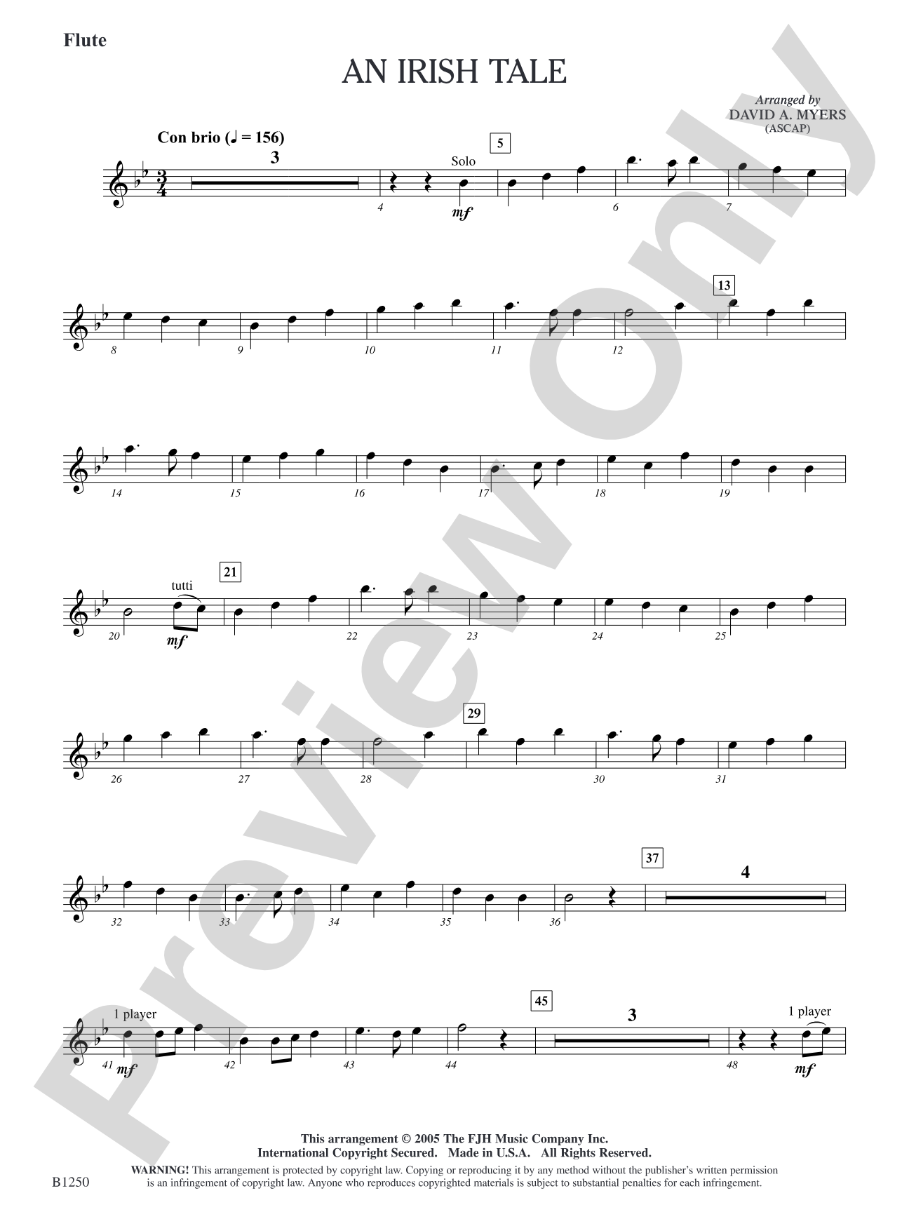 An Irish Tale: Flute