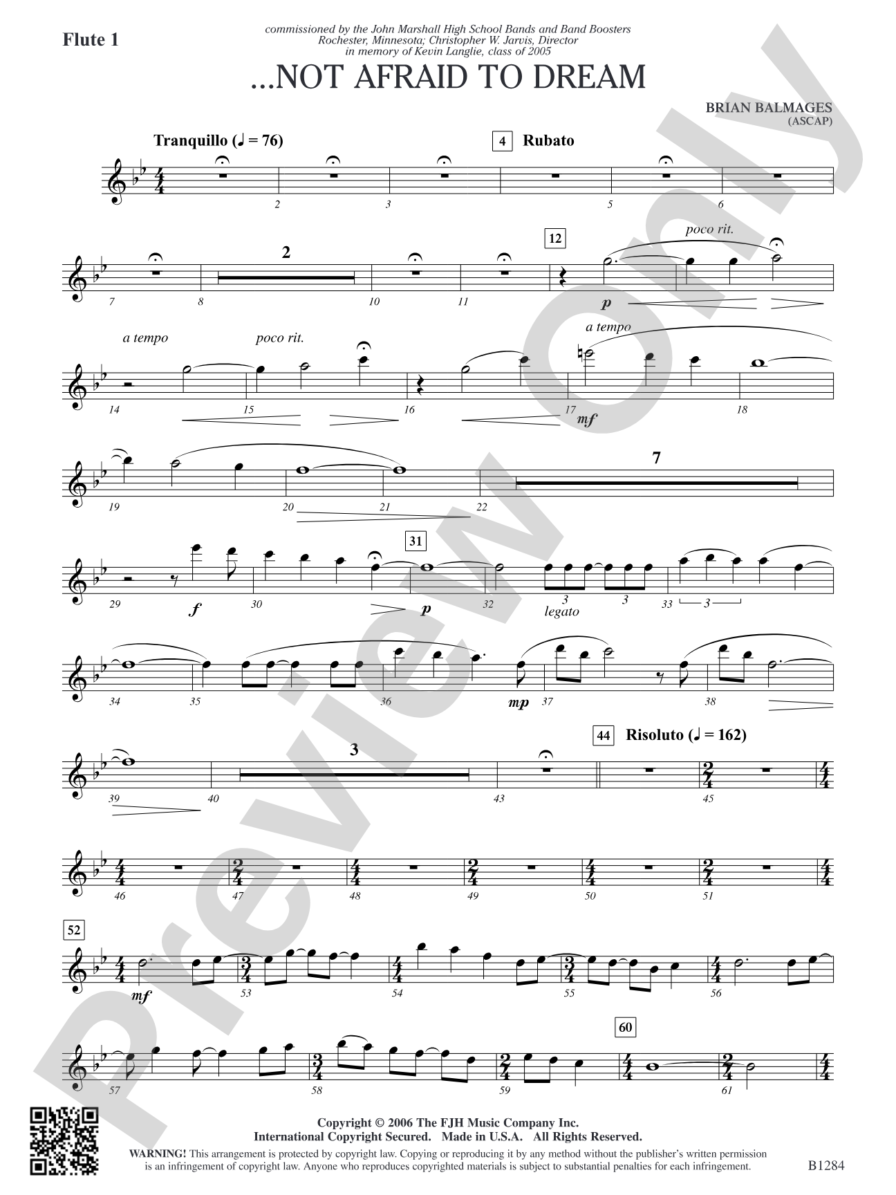 ...Not Afraid to Dream: Flute 1