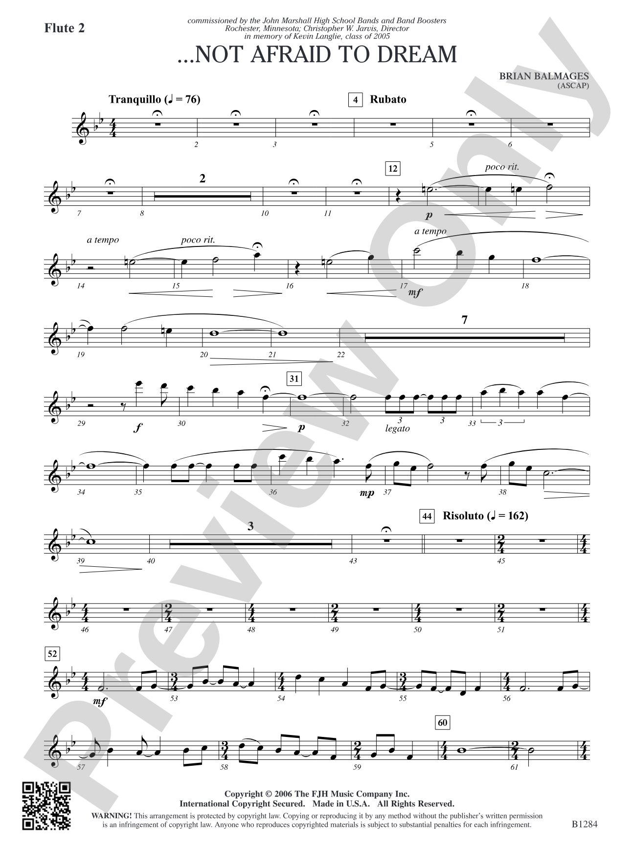 ...Not Afraid to Dream: Flute 2