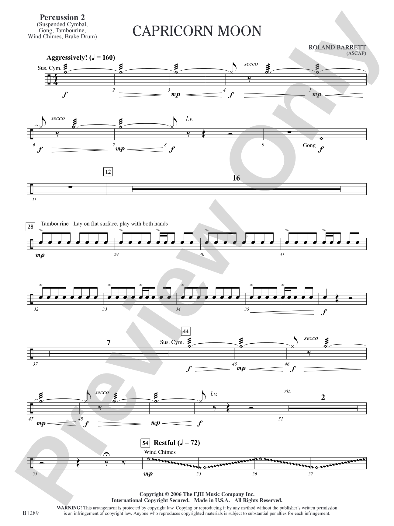 Capricorn Moon: Percussion 2