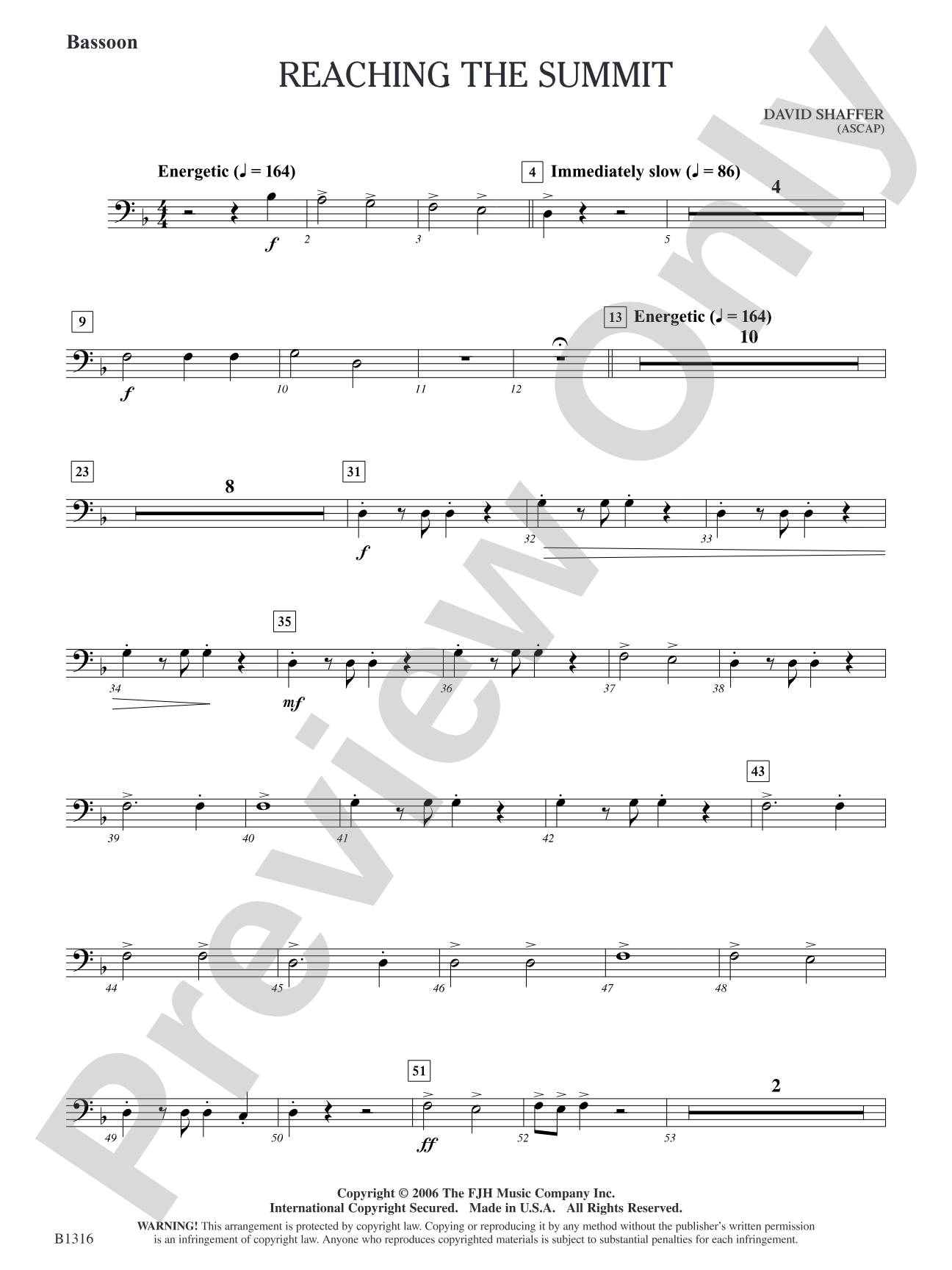 Reaching the Summit: Bassoon