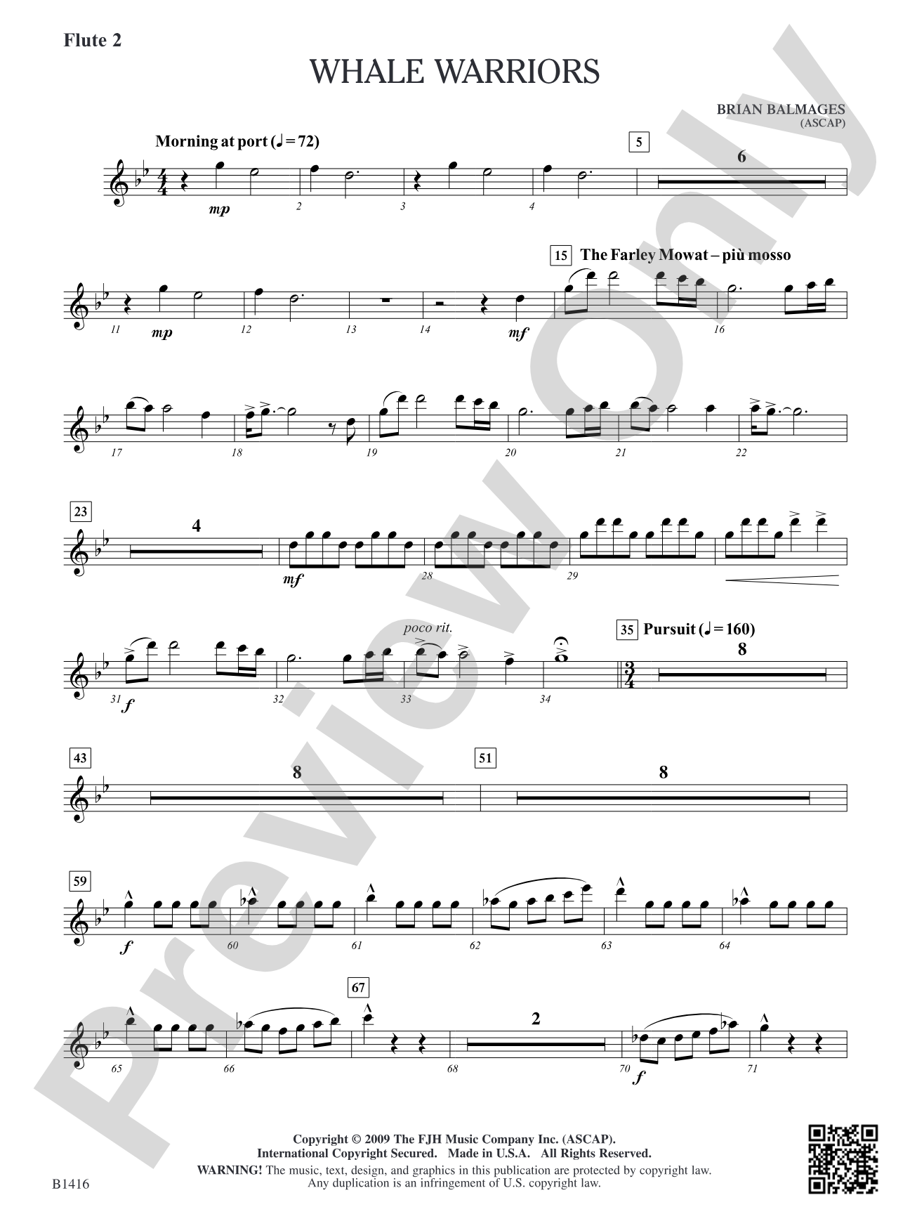 Whale Warriors: Flute 2