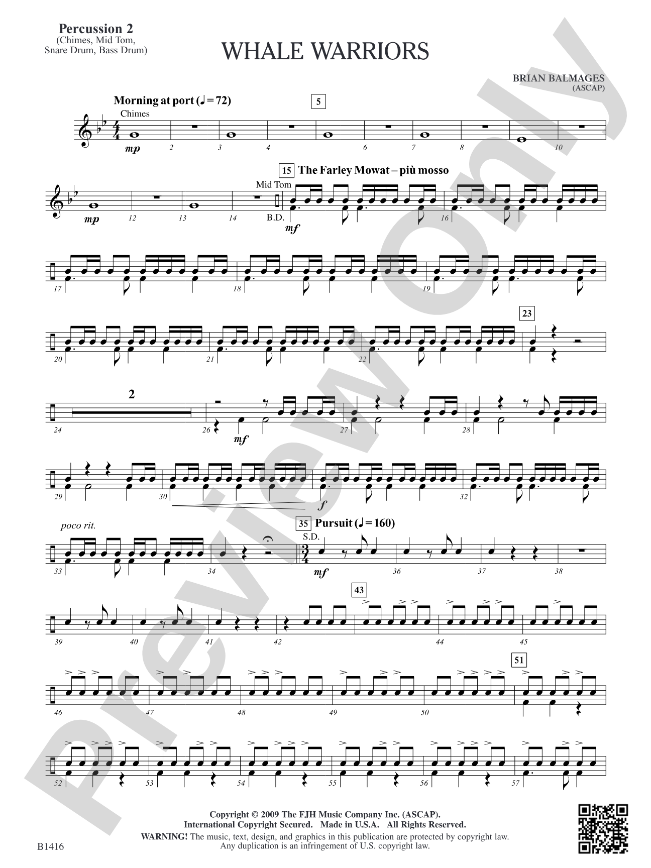 Whale Warriors: Percussion 2