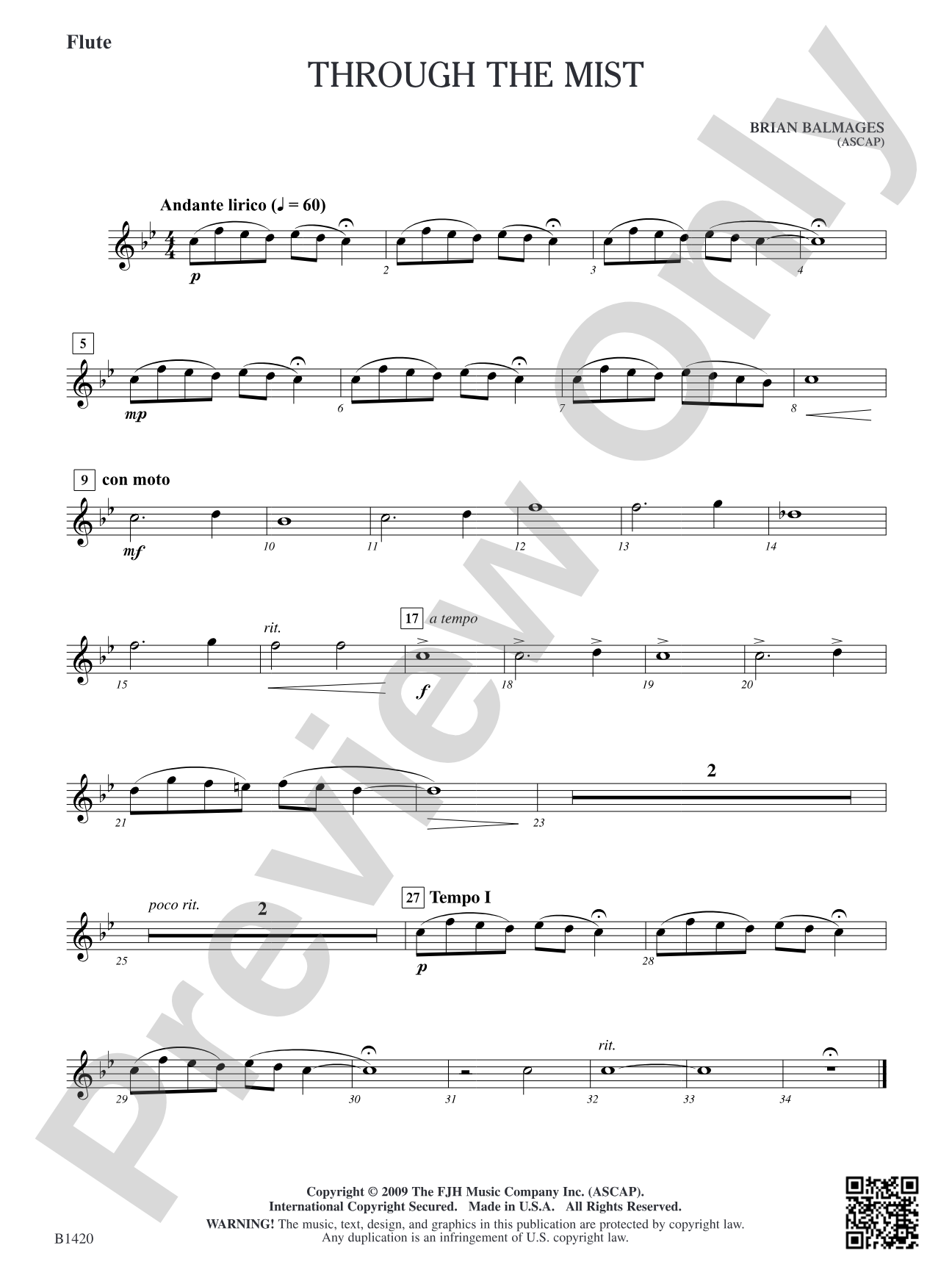 Through the Mist: Flute