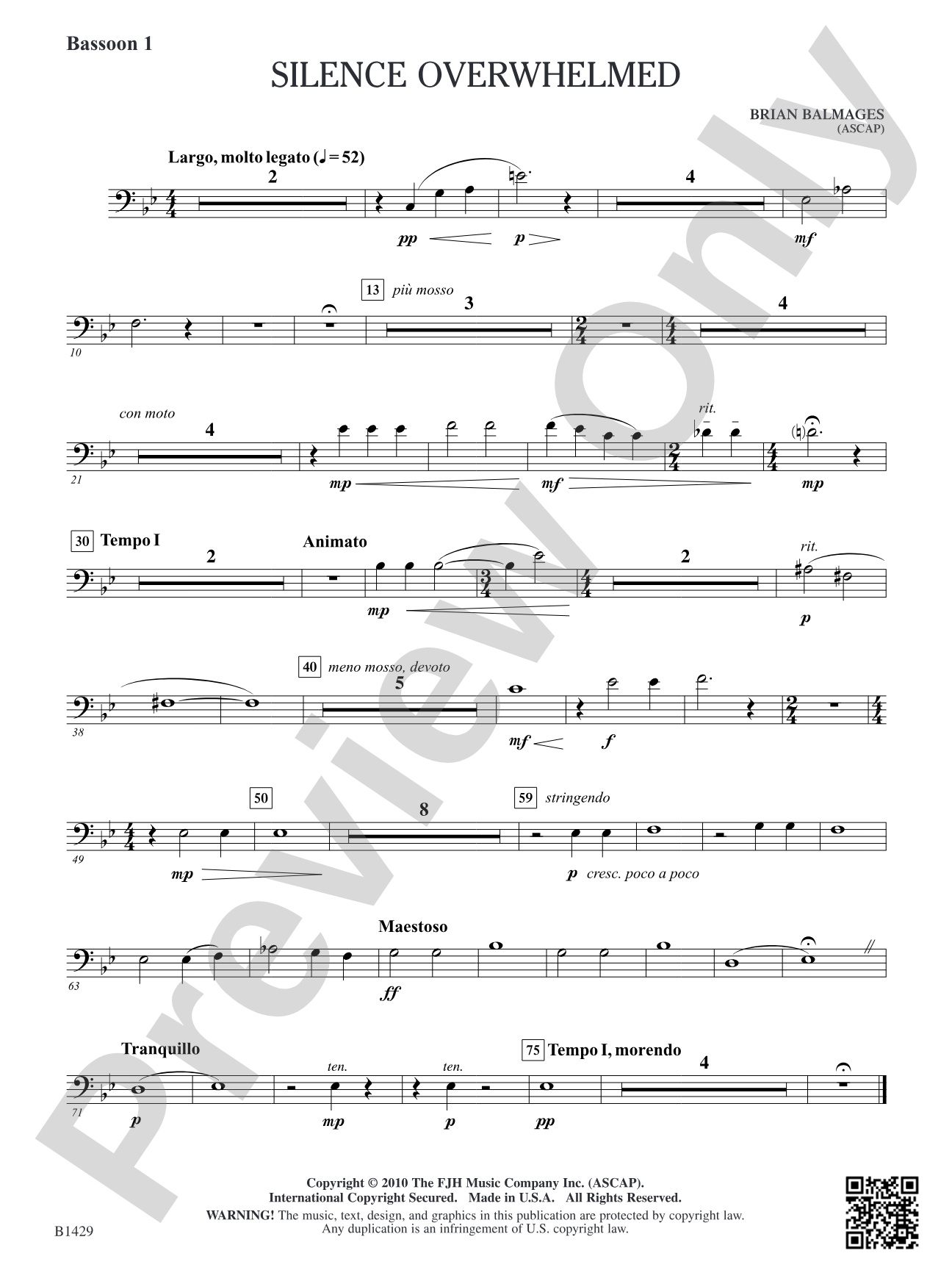 Silence Overwhelmed: Bassoon 1