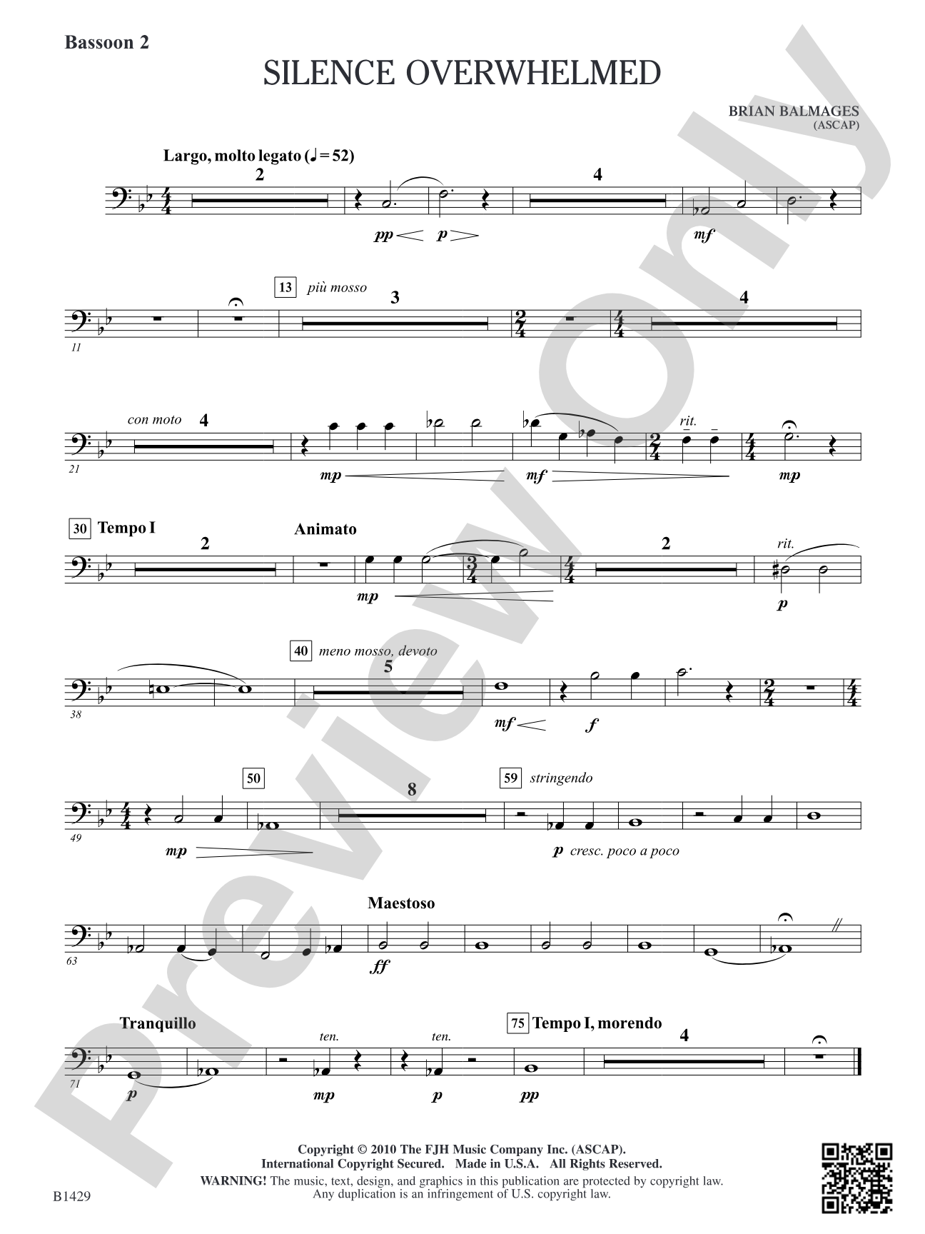 Silence Overwhelmed: Bassoon 2