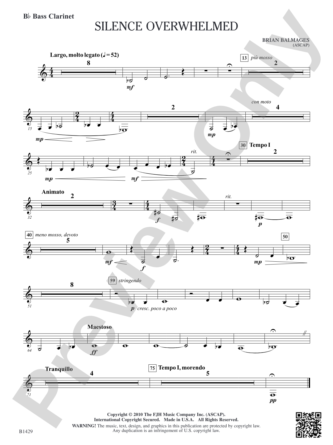 Silence Overwhelmed: B-flat Bass Clarinet