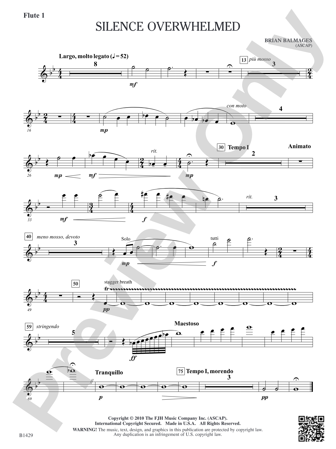 Silence Overwhelmed: Flute 1