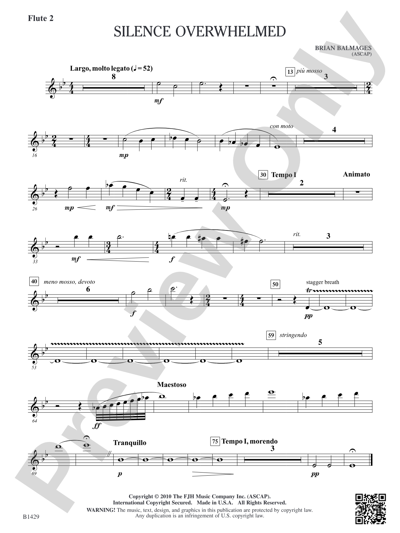 Silence Overwhelmed: Flute 2