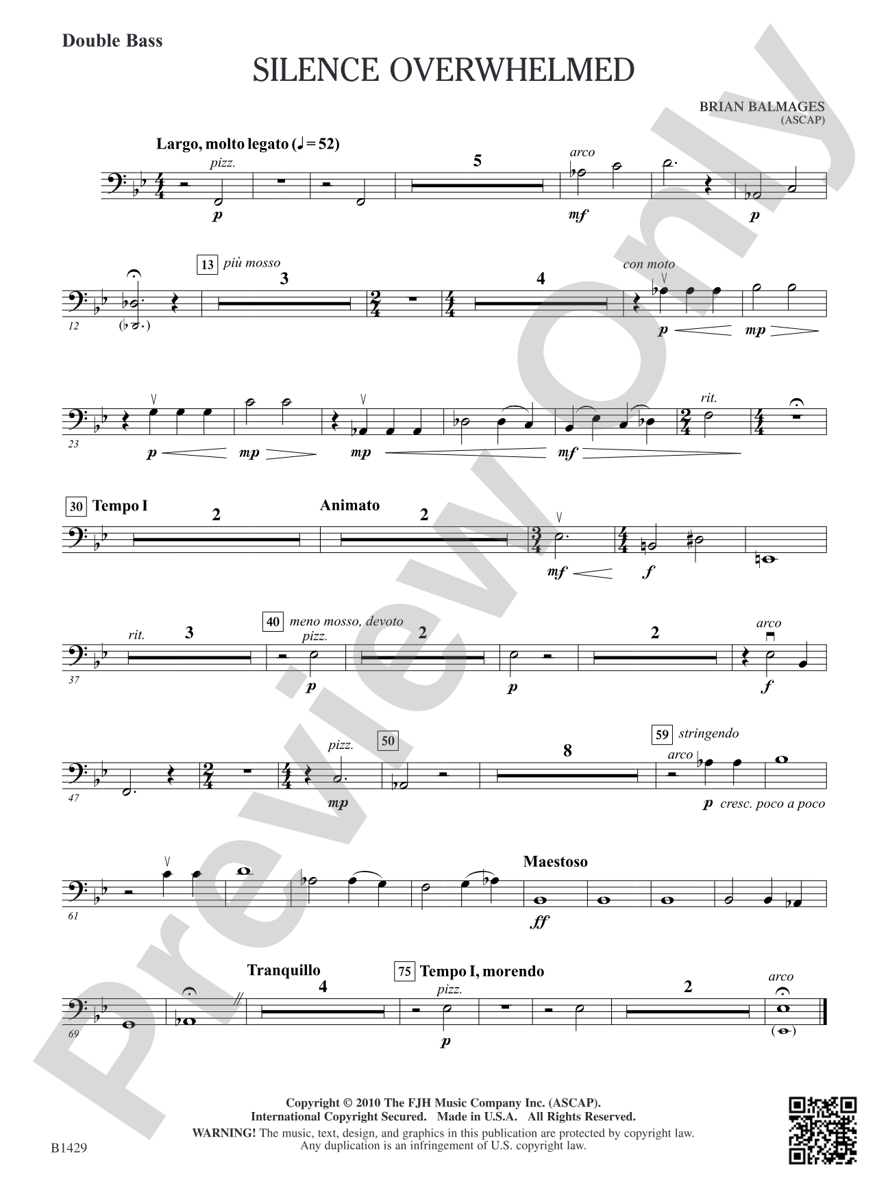 Silence Overwhelmed: Double Bass