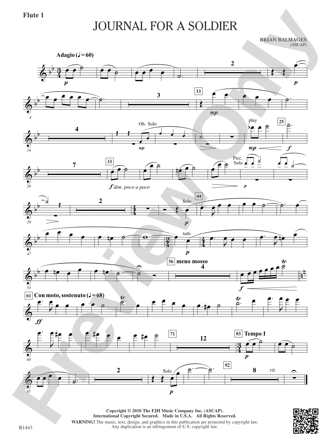 Journal for a Soldier: Flute 1
