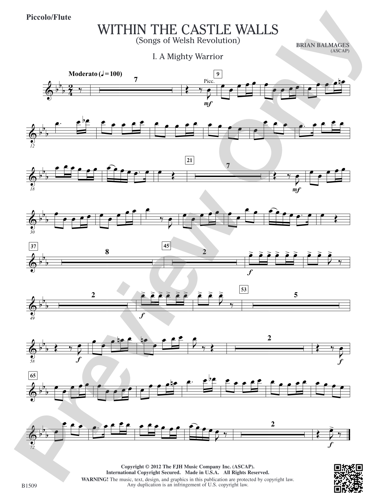 Within the Castle Walls: Piccolo/Flute