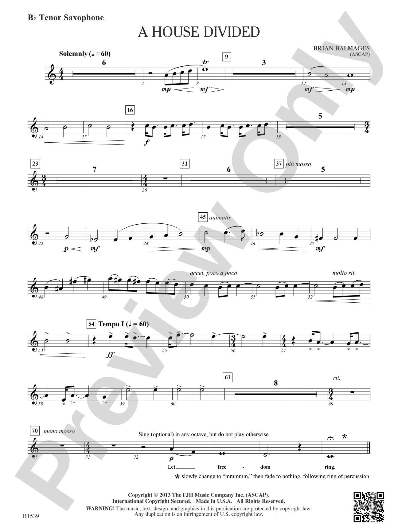 A House Divided: B-flat Tenor Saxophone