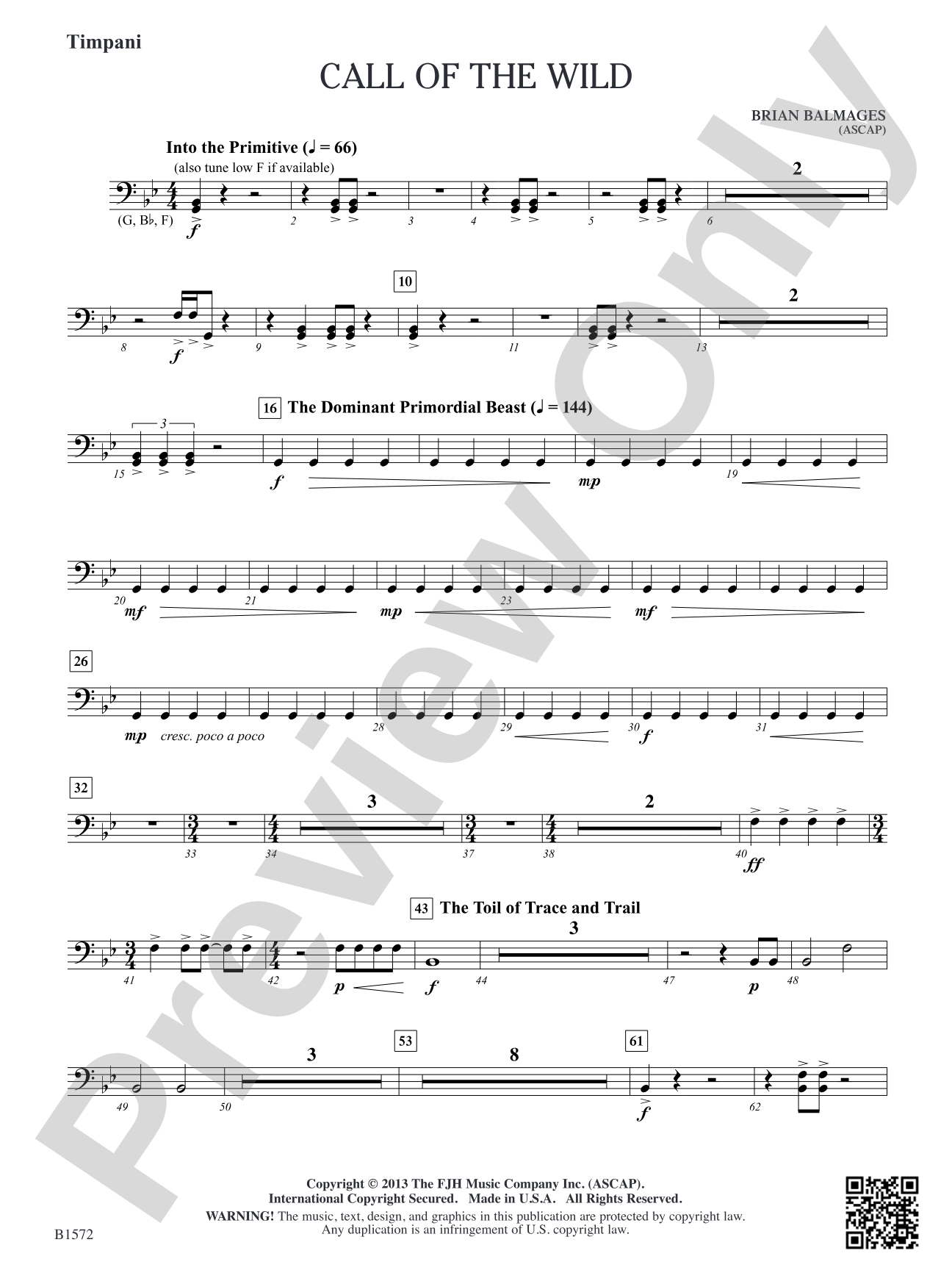 Call of the Wild: Timpani
