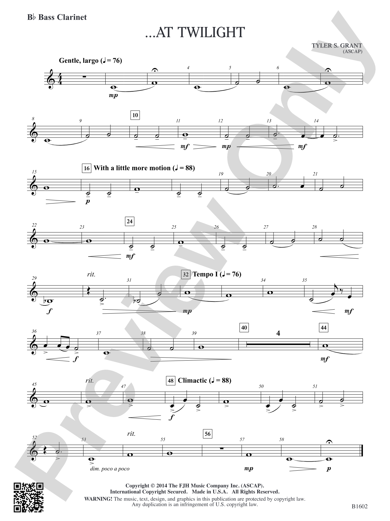 ...At Twilight: B-flat Bass Clarinet