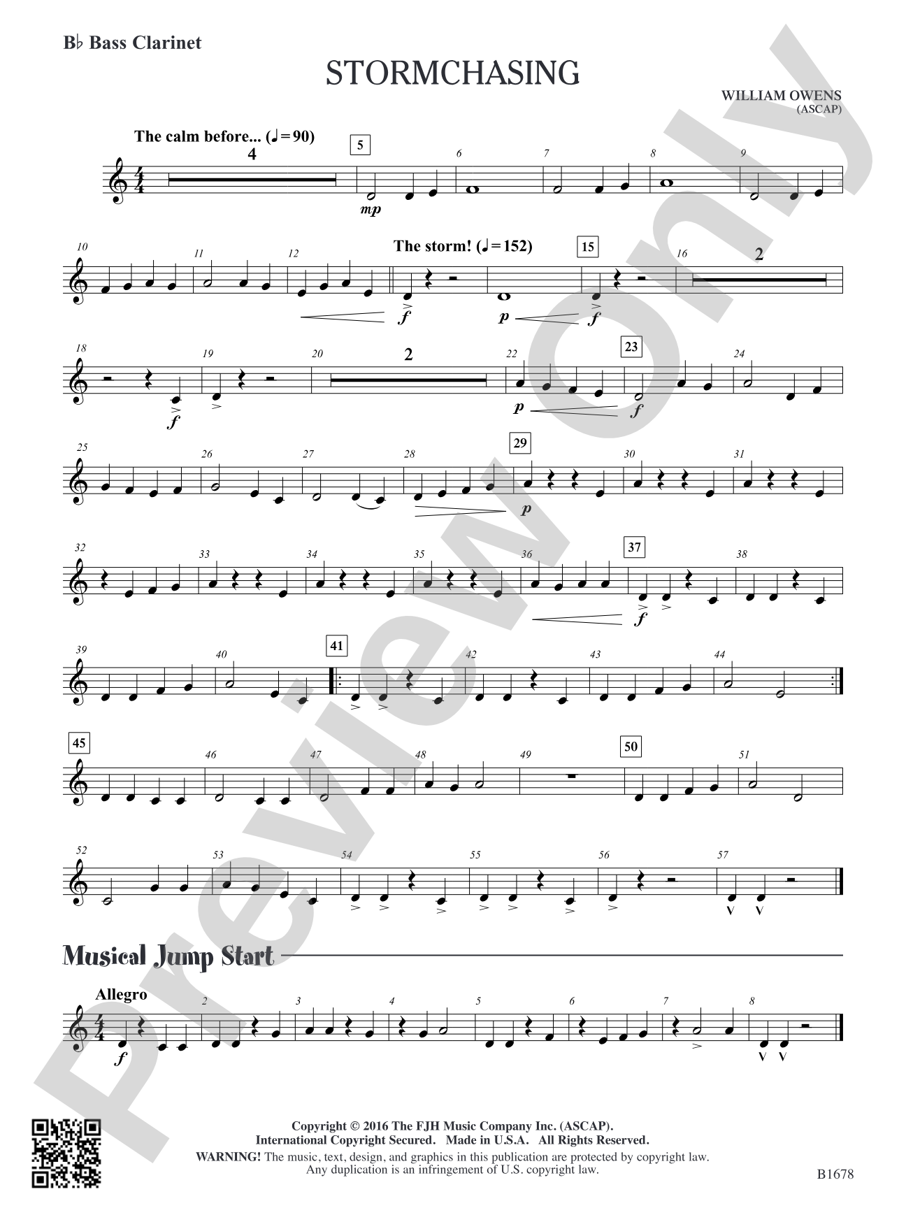 Stormchasing: B-flat Bass Clarinet