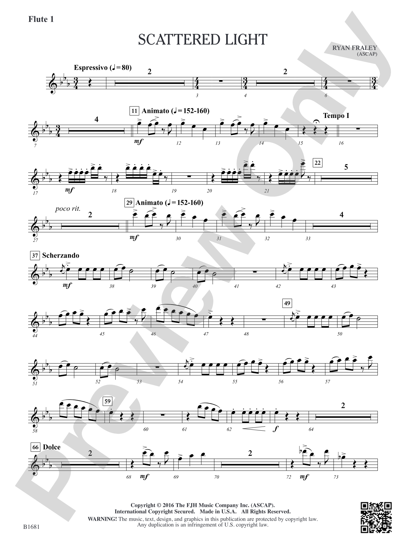 Scattered Light: Flute 1