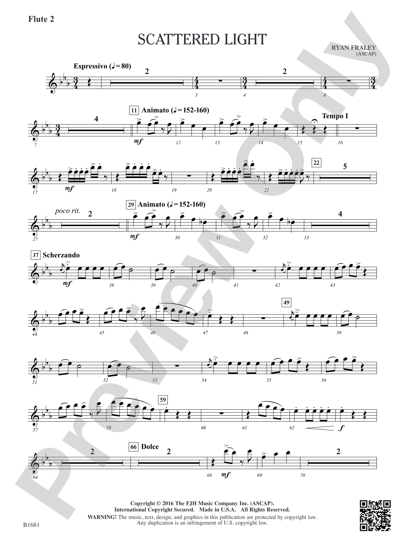 Scattered Light: Flute 2