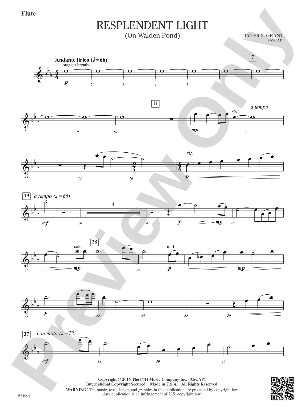 Resplendent Light: Flute
