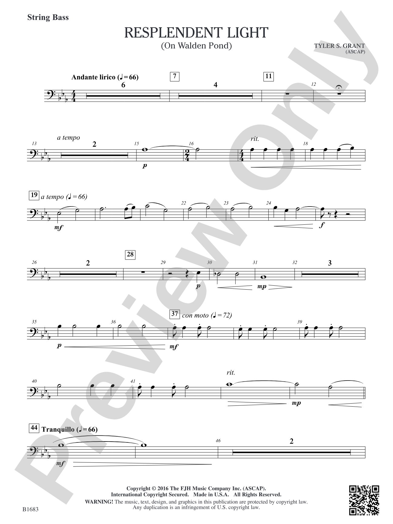 Resplendent Light: String Bass (opt.)