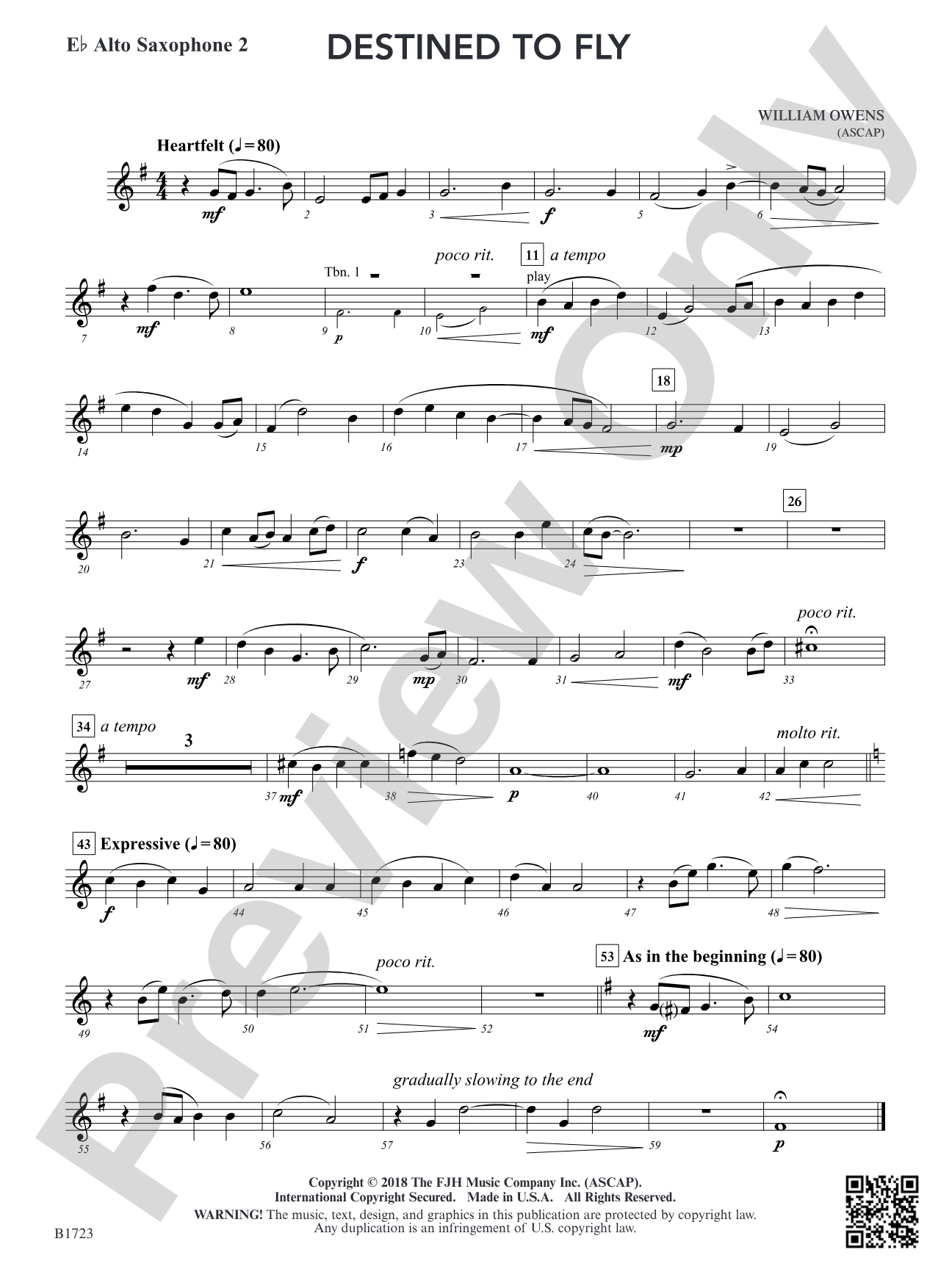 Destined to Fly: E-flat Alto Saxophone 2
