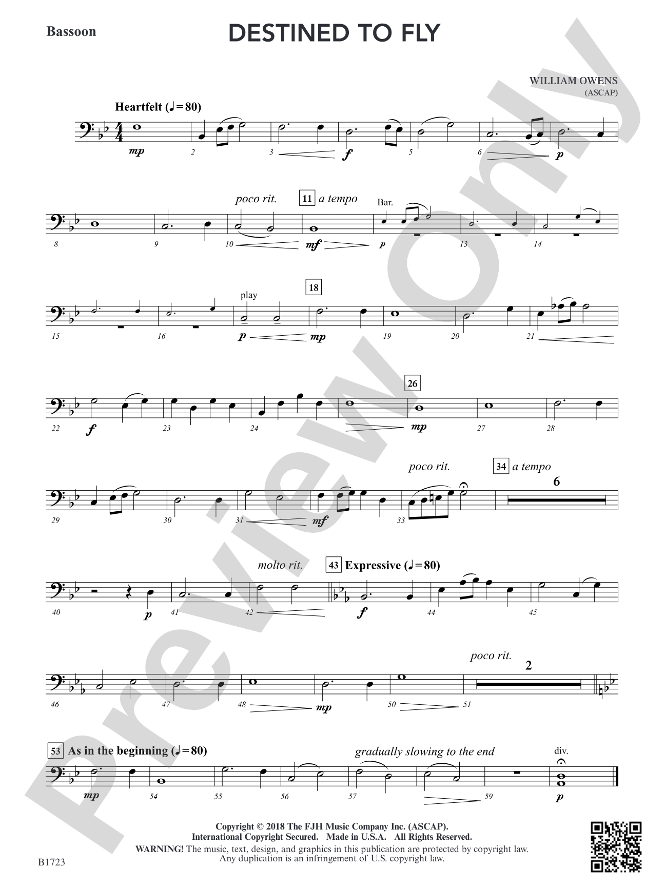 Destined to Fly: Bassoon