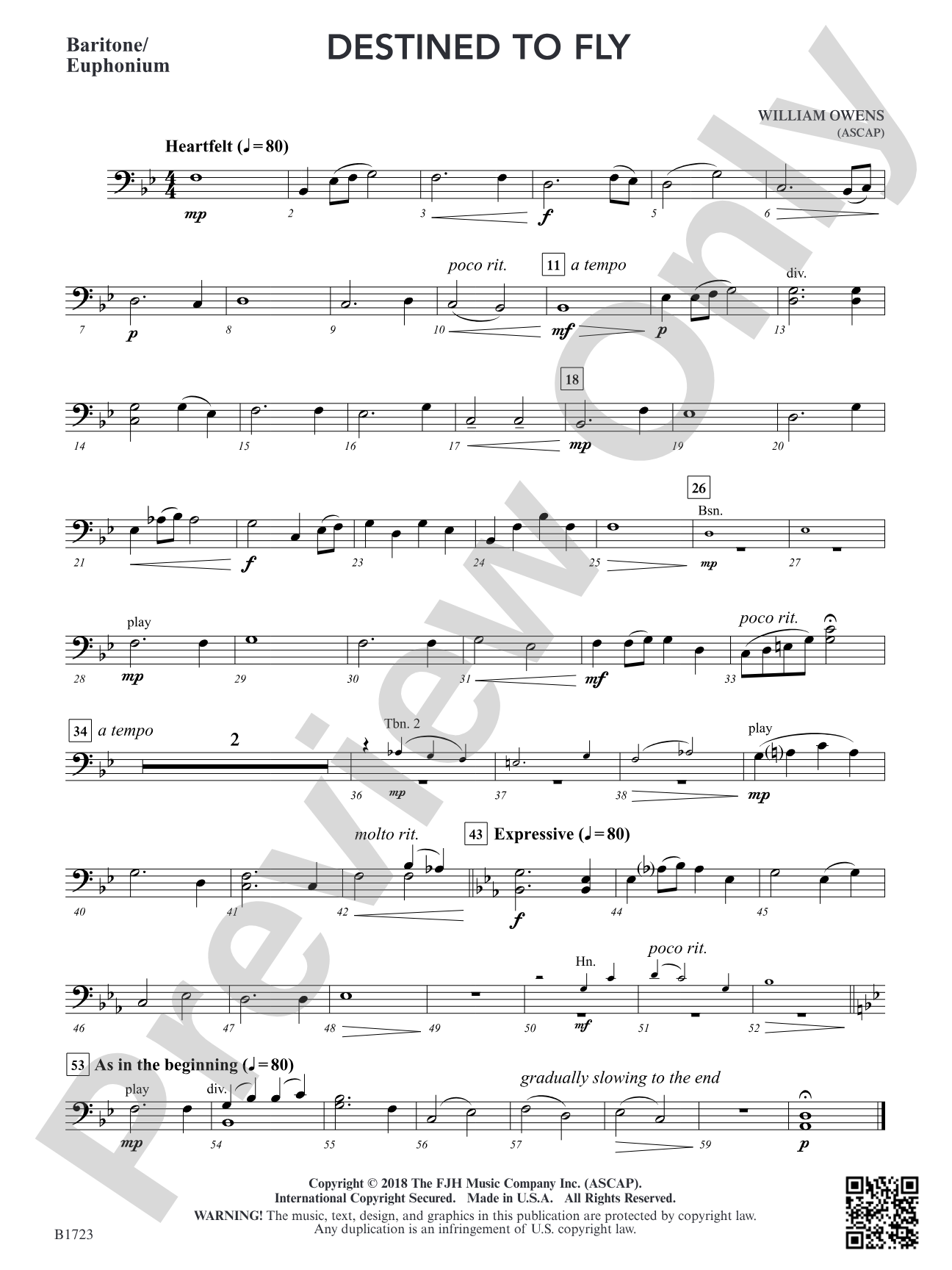 Destined to Fly: Baritone / Euphonium