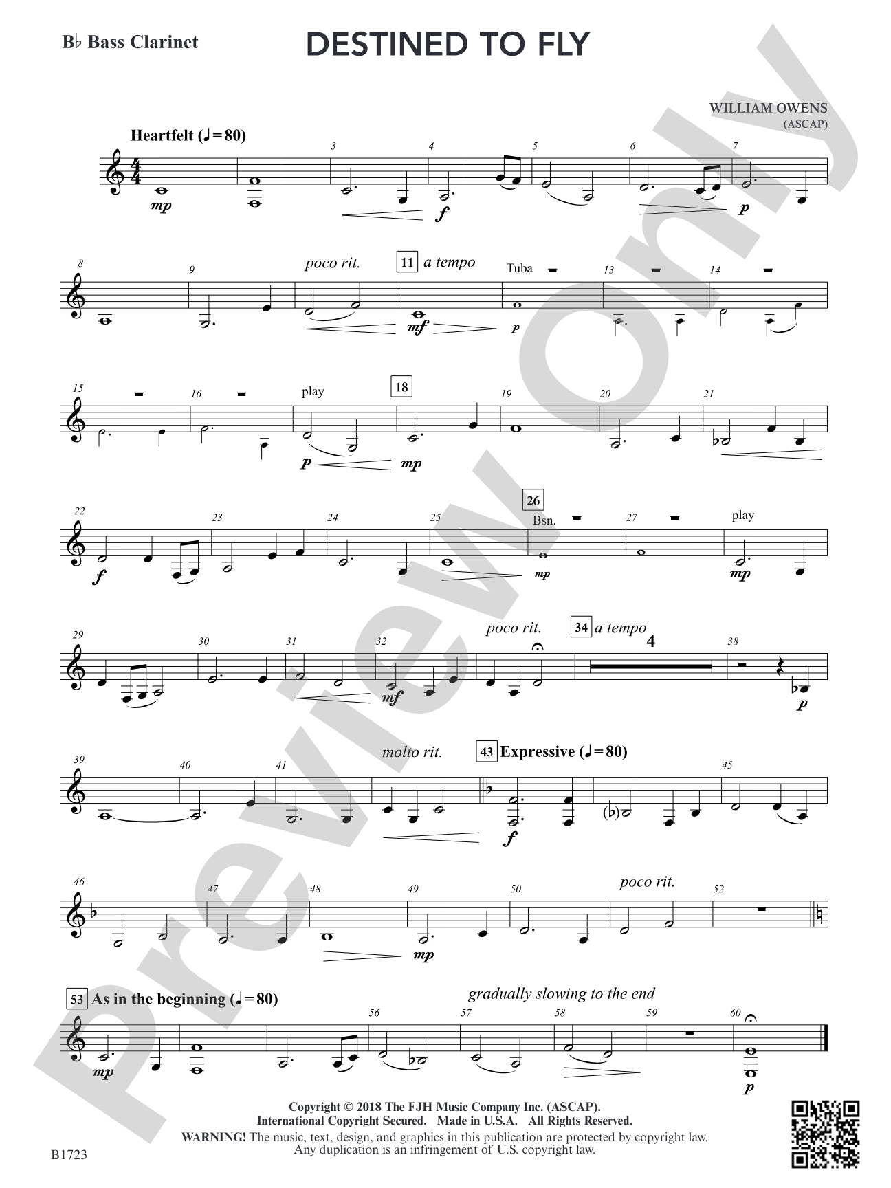 Destined to Fly: B-flat Bass Clarinet