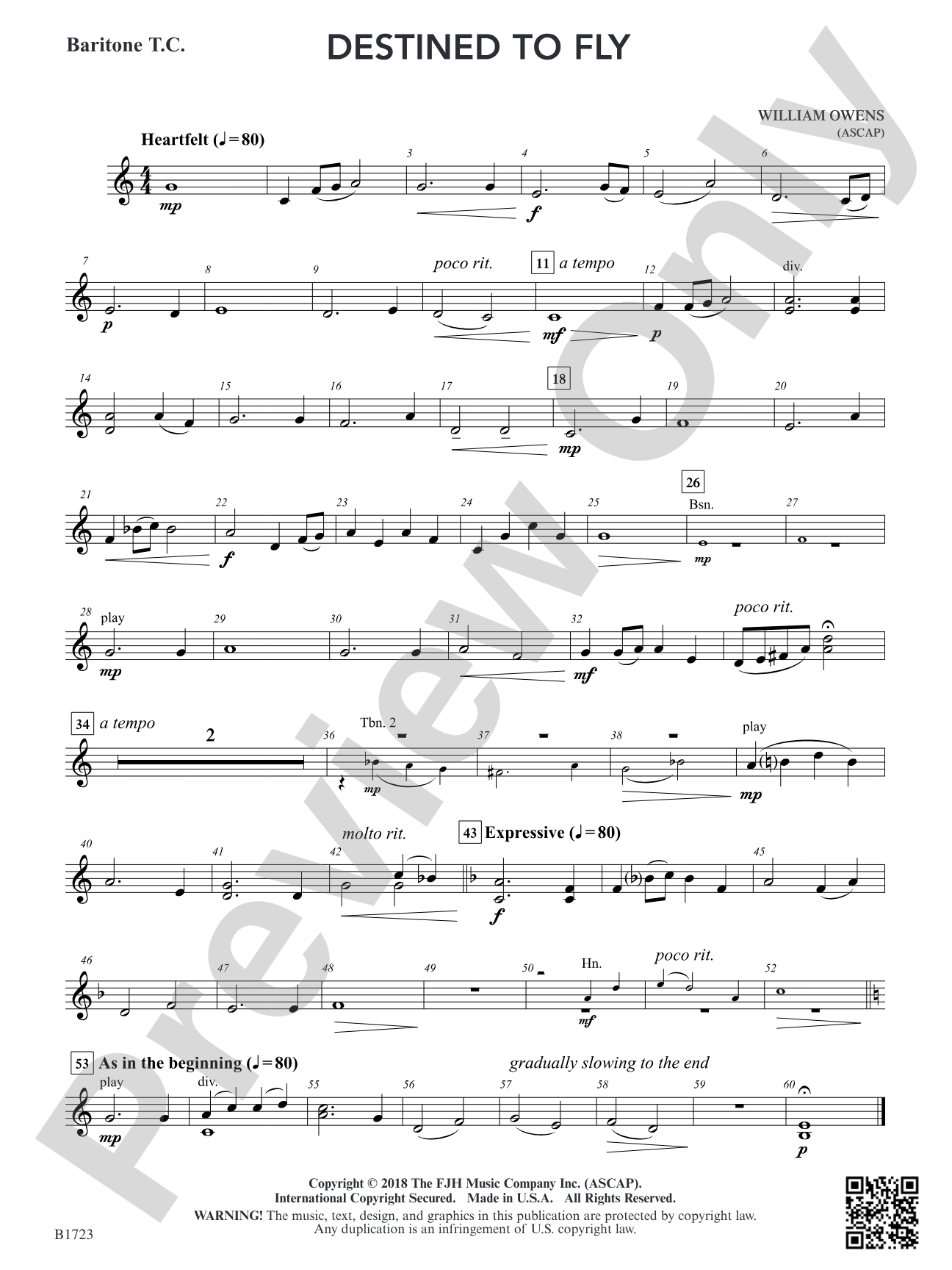 Destined to Fly: Baritone T.C.