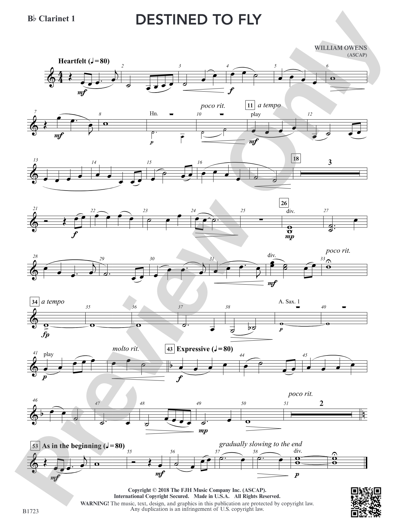 Destined to Fly: B-flat Clarinet 1