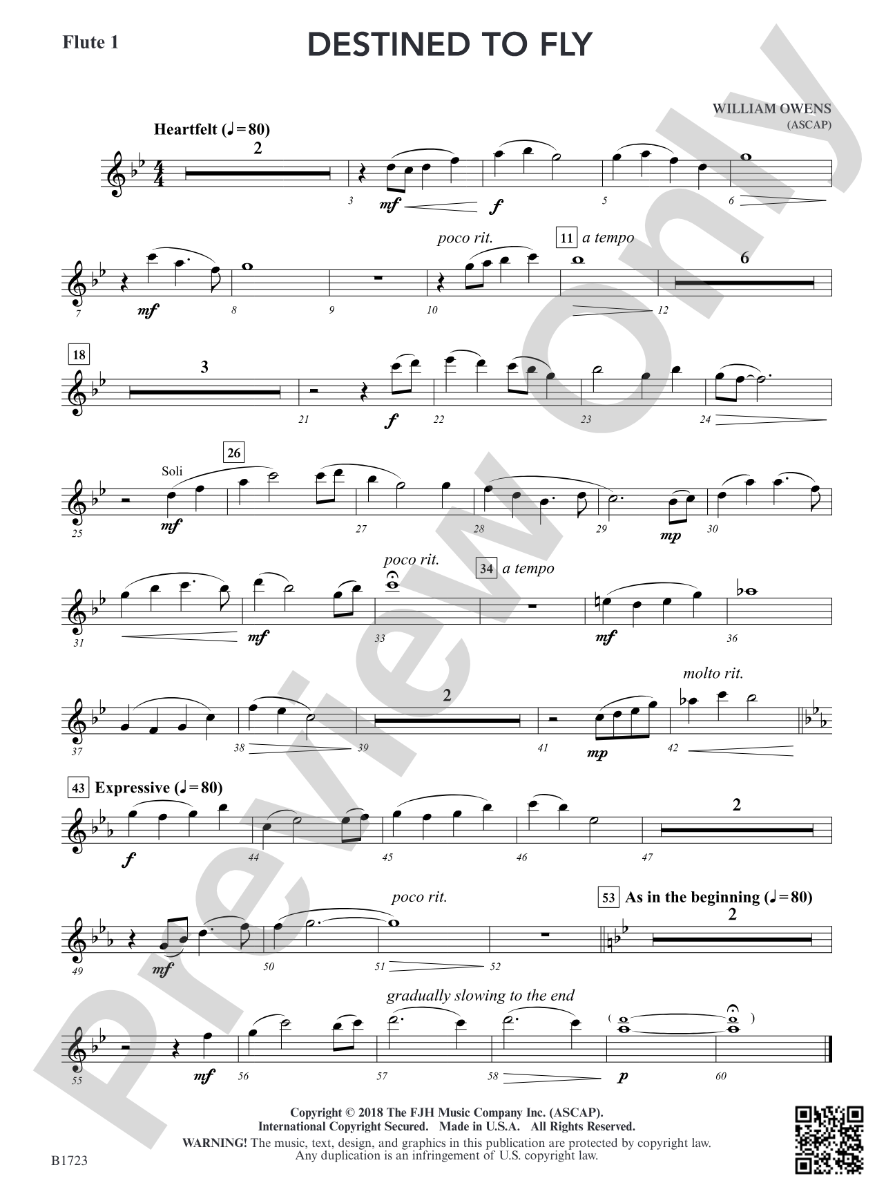 Destined to Fly: Flute 1