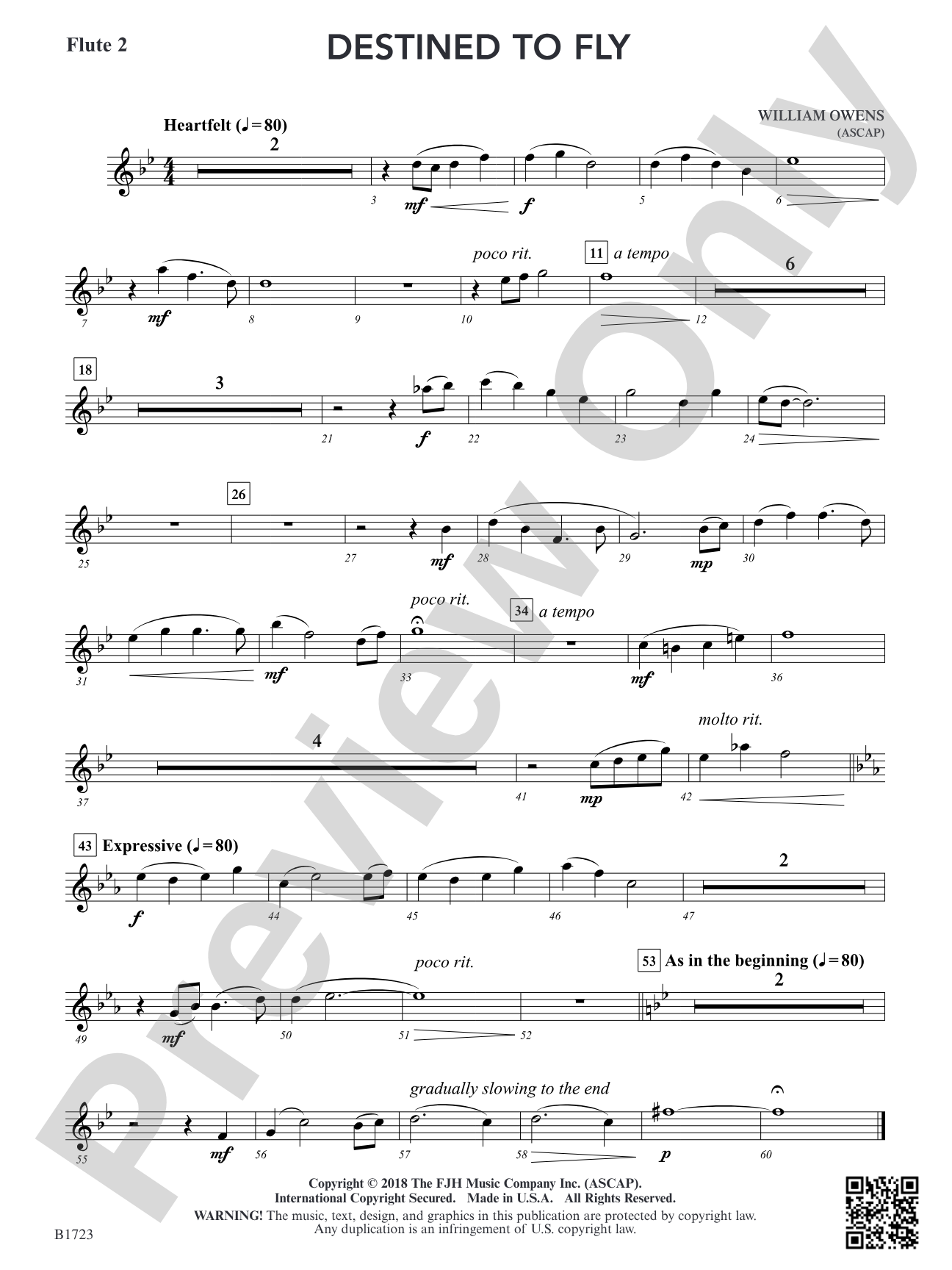 Destined to Fly: Flute 2