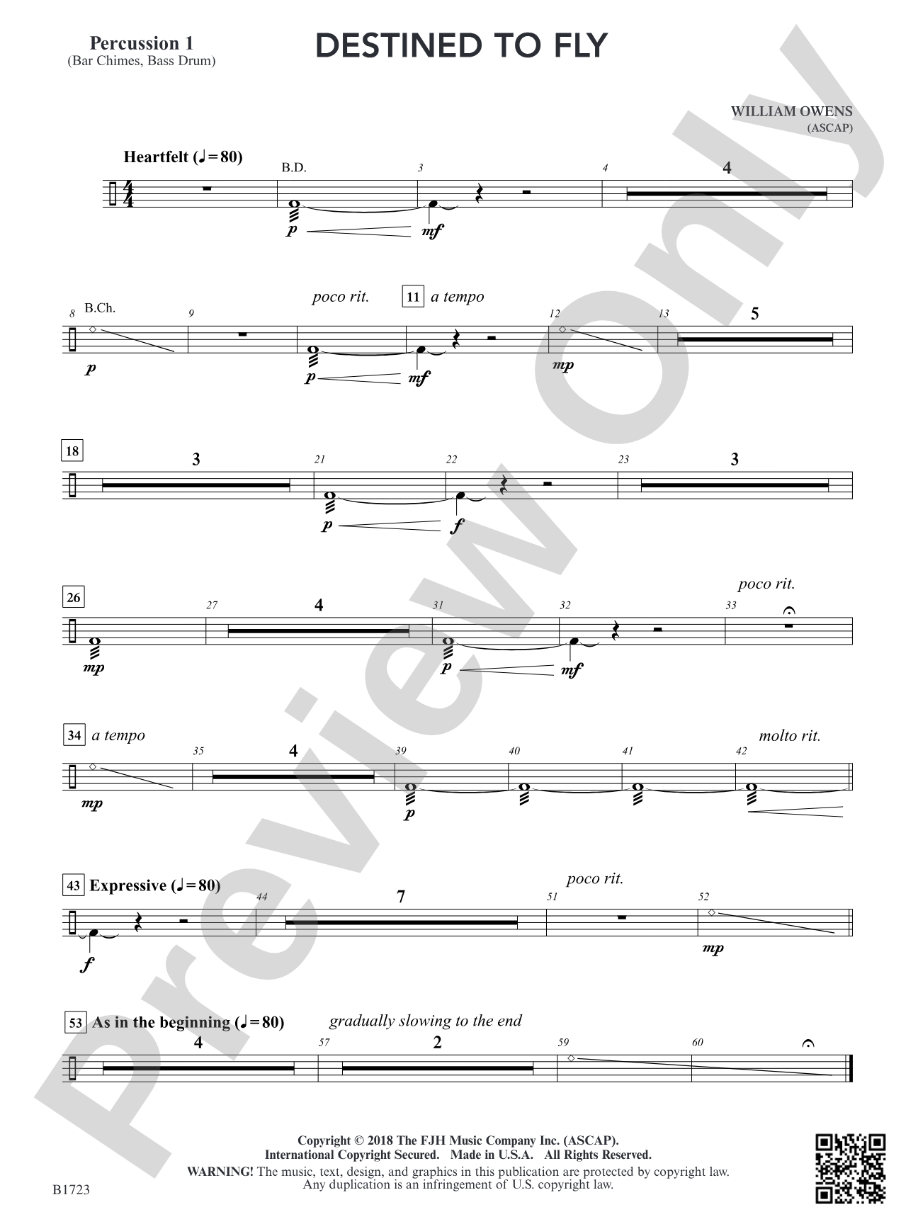 Destined to Fly: Percussion 1