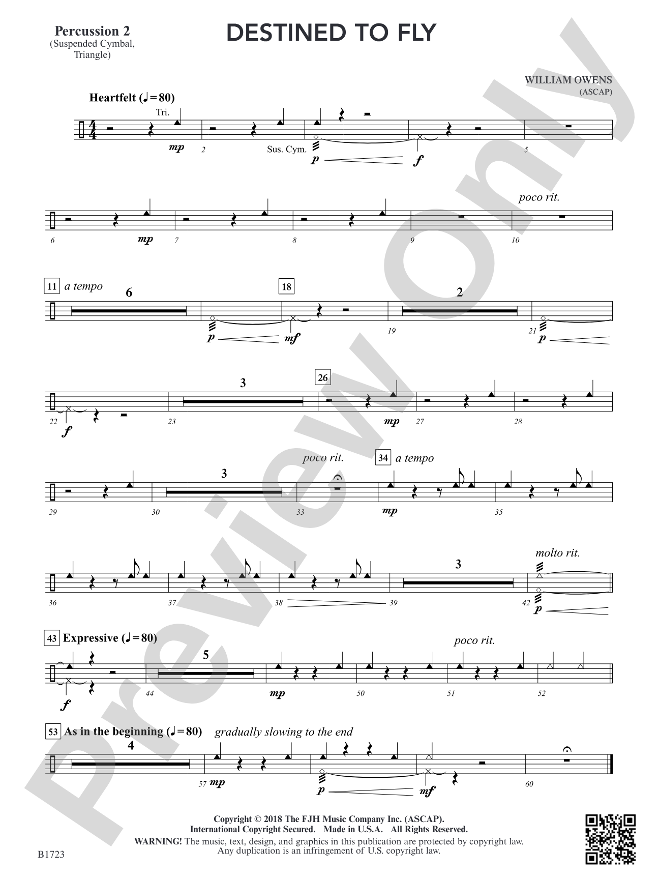 Destined to Fly: Percussion 2