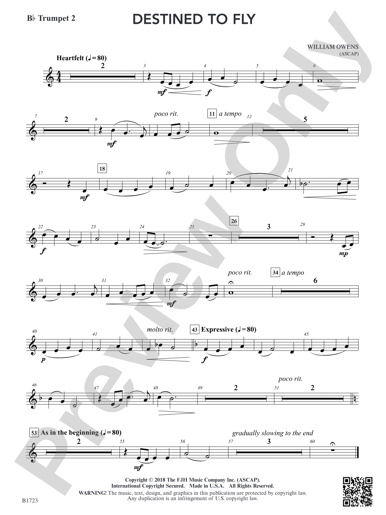 Destined to Fly: B-flat Trumpet 2