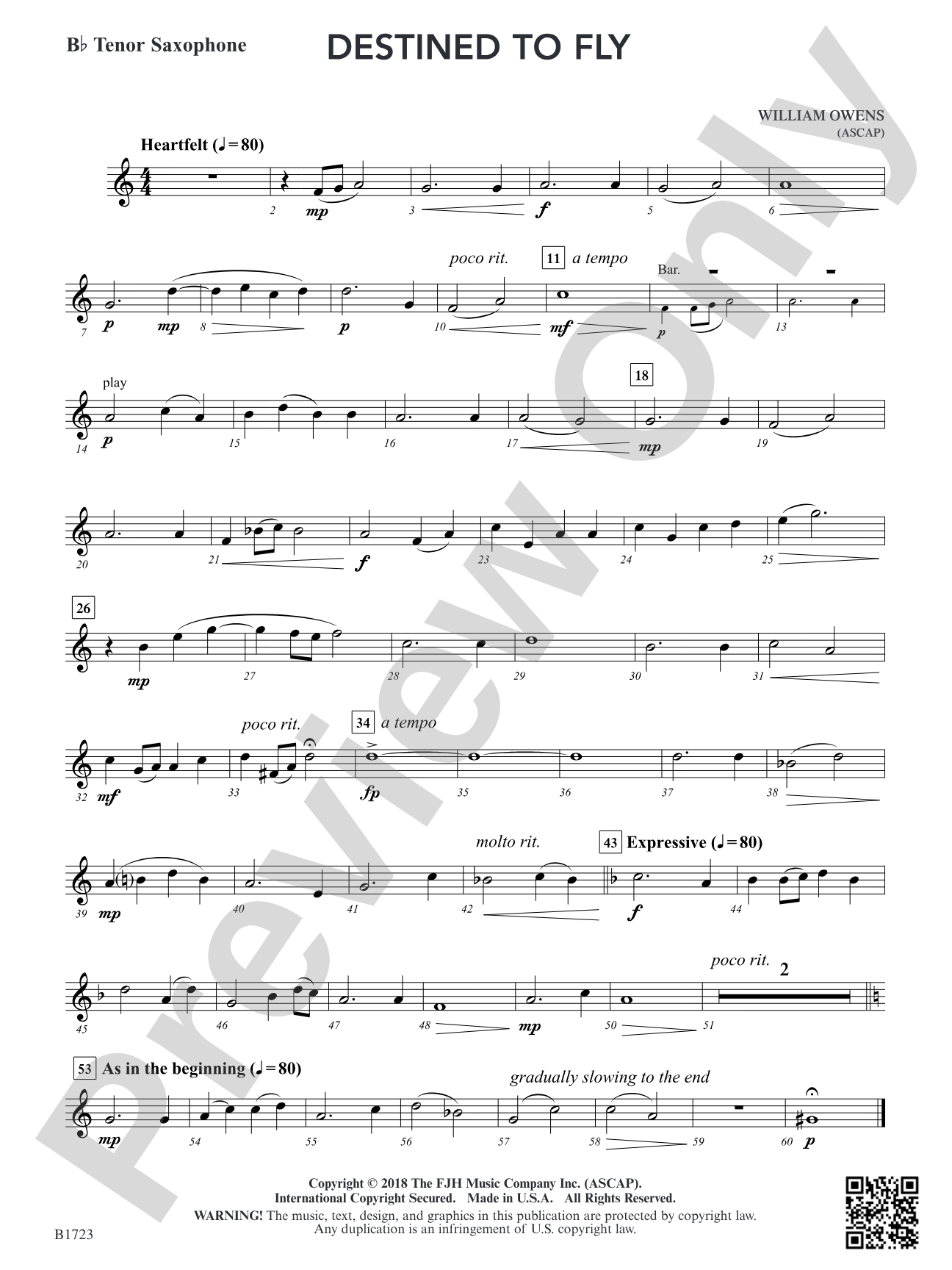 Destined to Fly: B-flat Tenor Saxophone