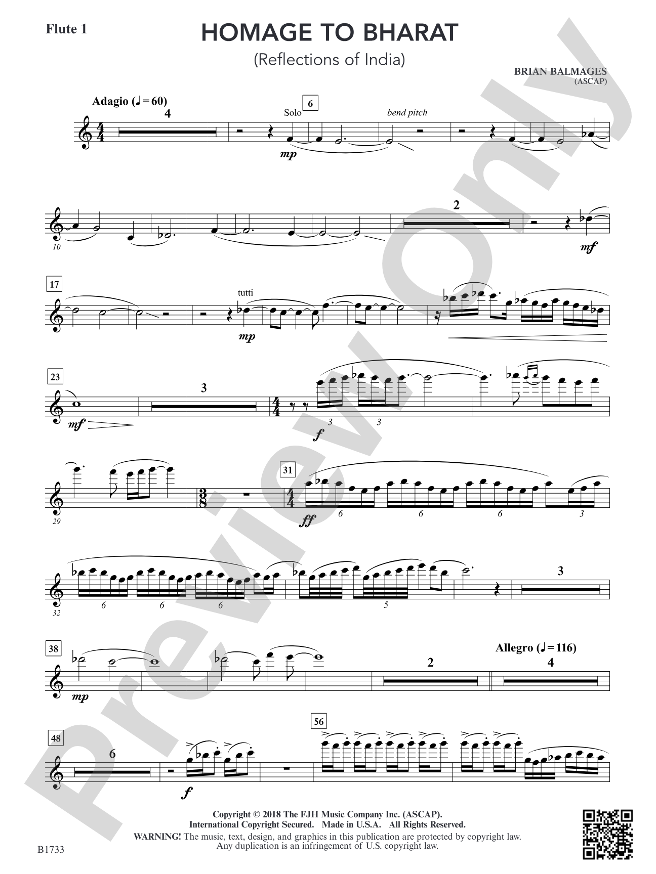 Homage to Bharat: Flute 1