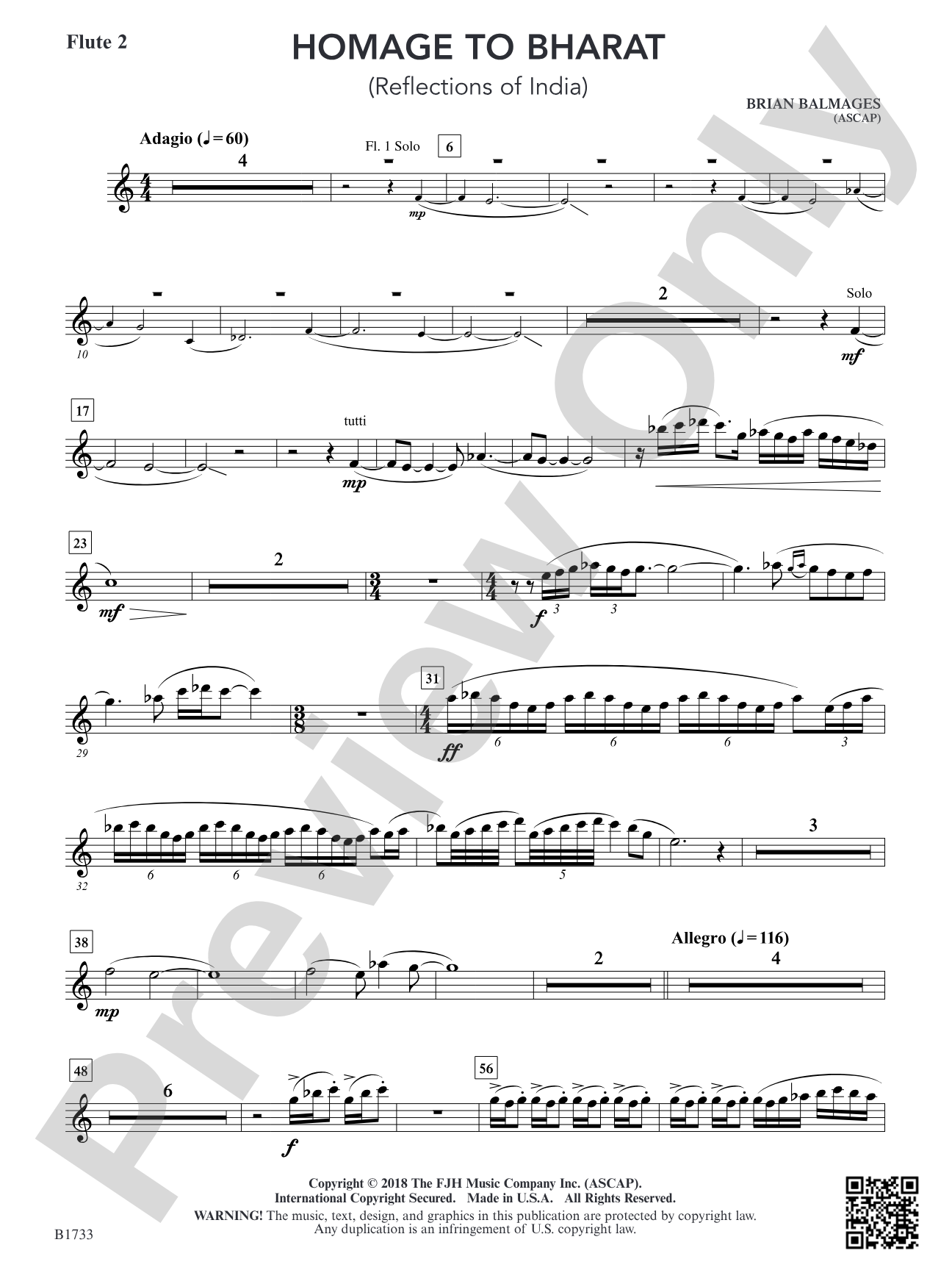 Homage to Bharat: Flute 2