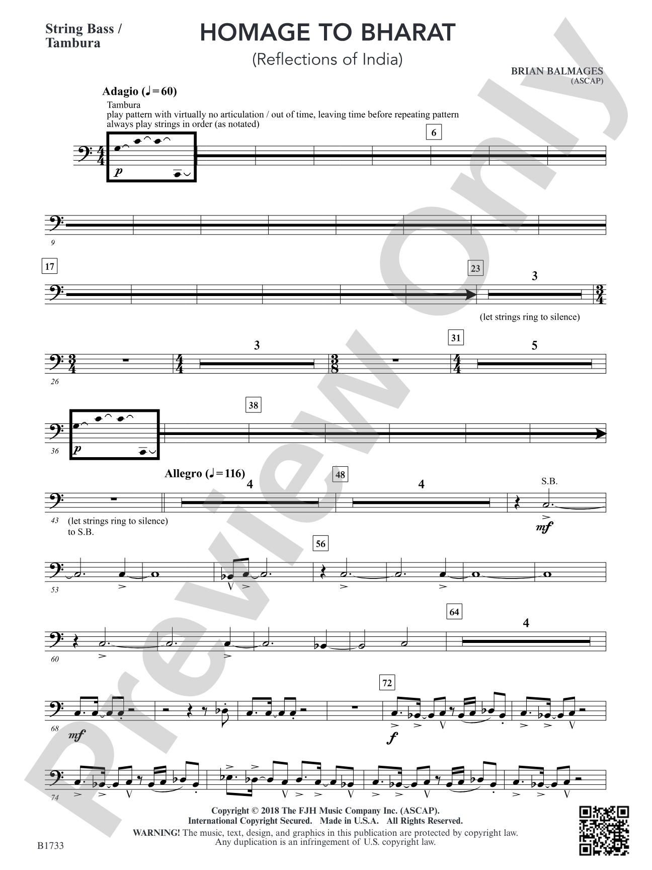 Homage to Bharat: String Bass / Tambura