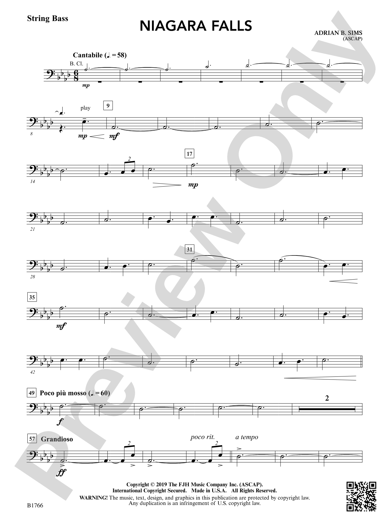 Niagara Falls: String Bass