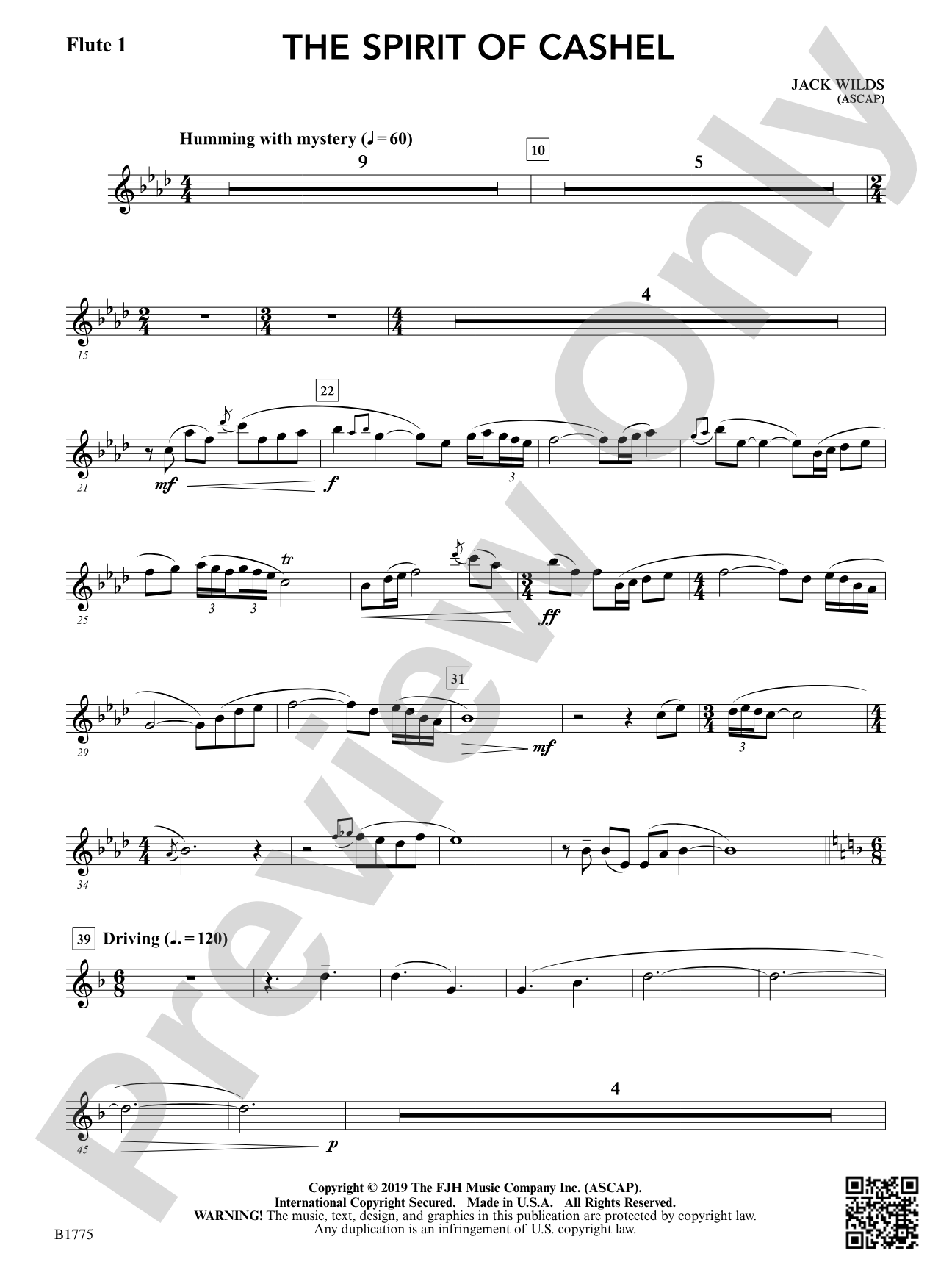 The Spirit of Cashel: Flute 1